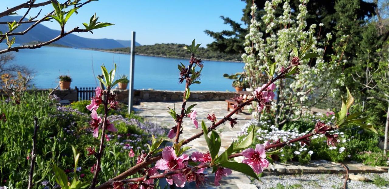 Blueline Guesthouse Agios Dimitrios  Exterior foto